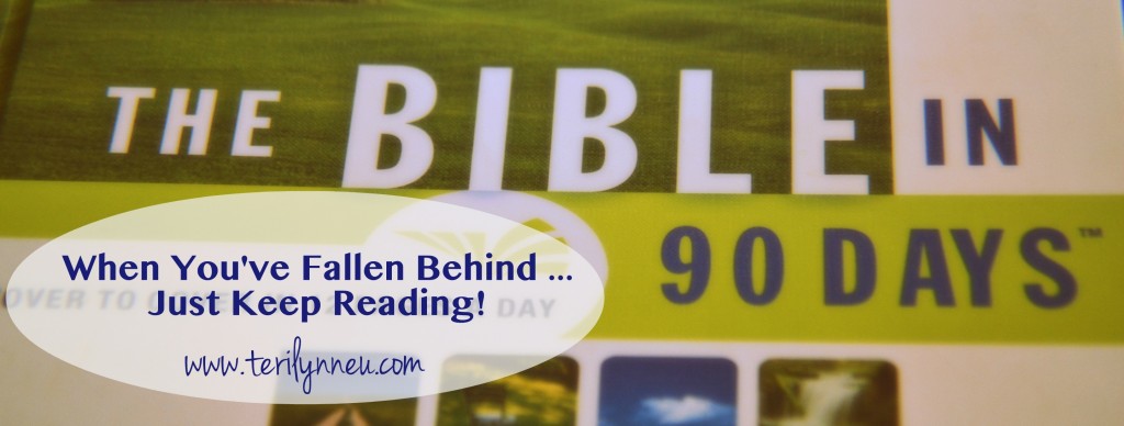 Behind in Bible in 90 Days Reading www.terilynneu.com